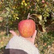 ヒメ日記 2025/11/23 10:37 投稿 草野 鶯谷人妻城