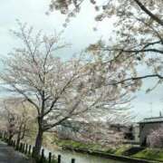 ヒメ日記 2026/04/02 23:01 投稿 草野 鶯谷人妻城