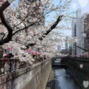 ヒメ日記 2025/03/27 13:56 投稿 わん 池袋あられ