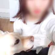 ヒメ日記 2025/05/20 16:20 投稿 みま ていくぷらいど.学園