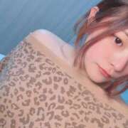 ヒメ日記 2025/02/13 06:15 投稿 のん One More 奥様 鶯谷店