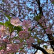 ヒメ日記 2025/03/03 10:33 投稿 まお 夢幻（むげん）