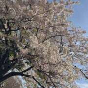 ヒメ日記 2025/04/05 23:58 投稿 まお 夢幻（むげん）