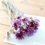 ヒメ日記 2025/01/29 10:17 投稿 ゆな 熟女総本店 日本橋ミナミエリア店