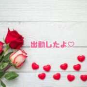 ヒメ日記 2025/02/18 09:55 投稿 ゆな 熟女総本店 日本橋ミナミエリア店