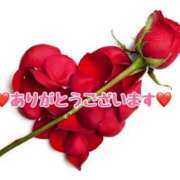 ヒメ日記 2025/03/01 16:33 投稿 ゆな 熟女総本店 日本橋ミナミエリア店