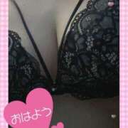 ヒメ日記 2025/04/18 07:36 投稿 ゆな 熟女総本店 日本橋ミナミエリア店