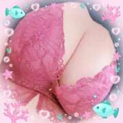 ヒメ日記 2025/08/14 10:33 投稿 なつめ 熟女の風俗最終章 所沢店