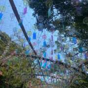 ヒメ日記 2025/01/24 13:03 投稿 乃木風香 ハールブルク