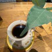 ヒメ日記 2025/02/22 18:02 投稿 乃木風香 ハールブルク