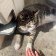 ヒメ日記 2025/02/26 15:45 投稿 乃木風香 ハールブルク