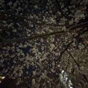 ヒメ日記 2025/04/01 18:00 投稿 乃木風香 ハールブルク