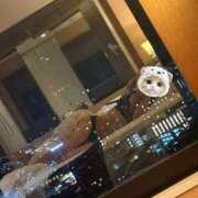 ヒメ日記 2025/04/18 20:45 投稿 乃木風香 ハールブルク