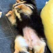 ヒメ日記 2025/05/23 17:14 投稿 乃木風香 ハールブルク