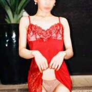 ヒメ日記 2025/11/12 08:00 投稿 乃木風香 ハールブルク