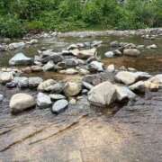 ヒメ日記 2025/11/20 12:04 投稿 乃木風香 ハールブルク