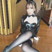 ヒメ日記 2025/11/27 11:27 投稿 乃木風香 ハールブルク