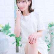 ヒメ日記 2025/12/01 14:01 投稿 乃木風香 ハールブルク