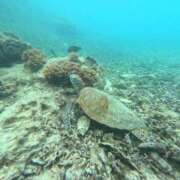 ヒメ日記 2025/12/02 16:07 投稿 乃木風香 ハールブルク