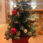 ヒメ日記 2025/12/14 21:08 投稿 乃木風香 ハールブルク