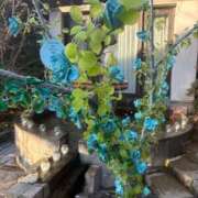 ヒメ日記 2025/12/30 09:32 投稿 乃木風香 ハールブルク