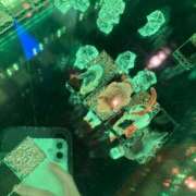 ヒメ日記 2025/12/31 05:15 投稿 乃木風香 ハールブルク