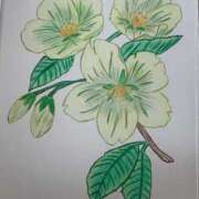 乃木風香 経過観察 ハールブルク