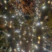 ヒメ日記 2026/01/05 16:51 投稿 乃木風香 ハールブルク