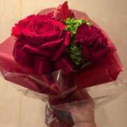 ヒメ日記 2026/01/07 08:04 投稿 乃木風香 ハールブルク