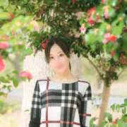 ヒメ日記 2026/01/13 16:15 投稿 乃木風香 ハールブルク