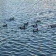 ヒメ日記 2026/01/18 10:05 投稿 乃木風香 ハールブルク