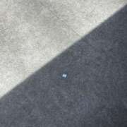 ヒメ日記 2026/02/06 16:30 投稿 乃木風香 ハールブルク