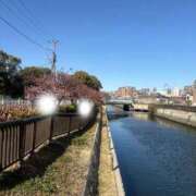 ヒメ日記 2026/02/20 10:30 投稿 乃木風香 ハールブルク