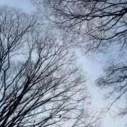 ヒメ日記 2026/02/25 06:00 投稿 乃木風香 ハールブルク