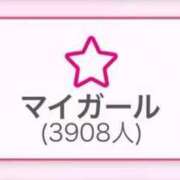 ヒメ日記 2026/03/16 17:15 投稿 乃木風香 ハールブルク