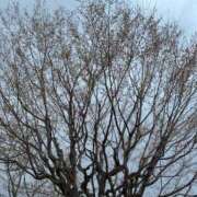 ヒメ日記 2026/03/21 10:33 投稿 乃木風香 ハールブルク