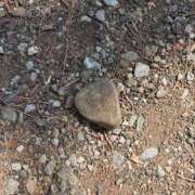 ヒメ日記 2026/03/21 13:42 投稿 乃木風香 ハールブルク