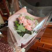 ヒメ日記 2026/03/27 19:04 投稿 乃木風香 ハールブルク