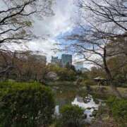 ヒメ日記 2026/03/27 20:03 投稿 乃木風香 ハールブルク