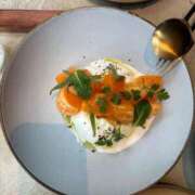 ヒメ日記 2026/03/29 08:01 投稿 乃木風香 ハールブルク