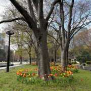 ヒメ日記 2026/03/30 07:45 投稿 乃木風香 ハールブルク