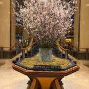 ヒメ日記 2026/03/31 09:28 投稿 乃木風香 ハールブルク