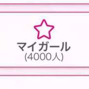 ヒメ日記 2026/04/02 08:15 投稿 乃木風香 ハールブルク