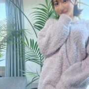 ヒメ日記 2026/04/03 09:00 投稿 乃木風香 ハールブルク