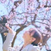 ヒメ日記 2026/04/12 17:01 投稿 乃木風香 ハールブルク