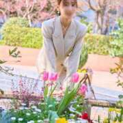 ヒメ日記 2026/04/14 06:00 投稿 乃木風香 ハールブルク