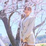 ヒメ日記 2026/04/15 06:45 投稿 乃木風香 ハールブルク