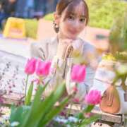 ヒメ日記 2026/04/15 10:00 投稿 乃木風香 ハールブルク