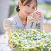 ヒメ日記 2026/04/16 12:01 投稿 乃木風香 ハールブルク