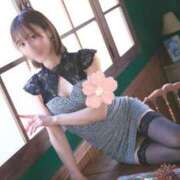 ヒメ日記 2026/04/18 08:00 投稿 乃木風香 ハールブルク